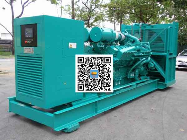 定日租赁发电机-康明斯发电机性价比还是比较高的